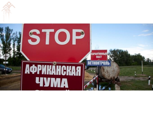 В Татарстане приняты исчерпывающие меры по недопущению заноса возбудителя АЧС из Чувашии