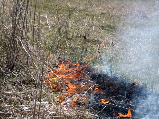 Загоревшаяся сухая трава. Фото Н. Плотникова