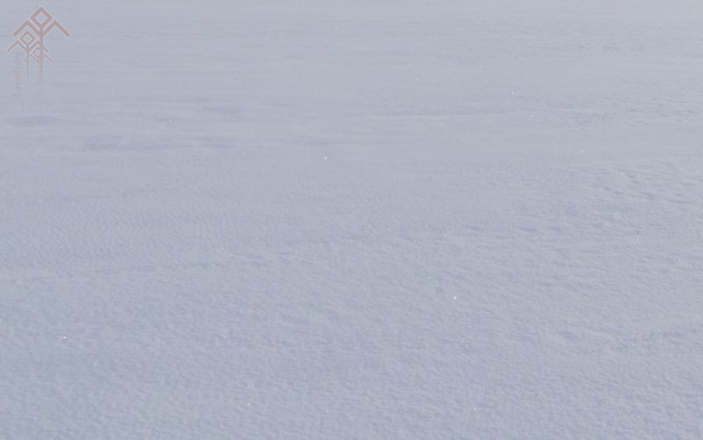 Снежное поле. Фото Николай Плотникова