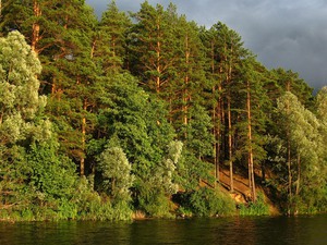 Озеро Яльчик в парке